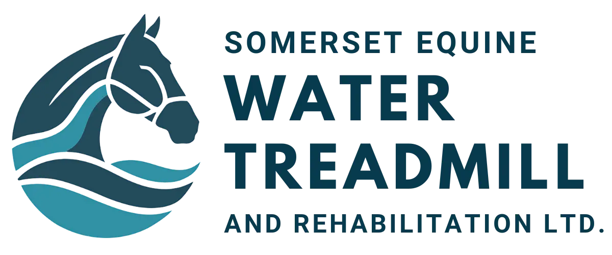 Somerset Equine Water Treadmill and Rehabilitation